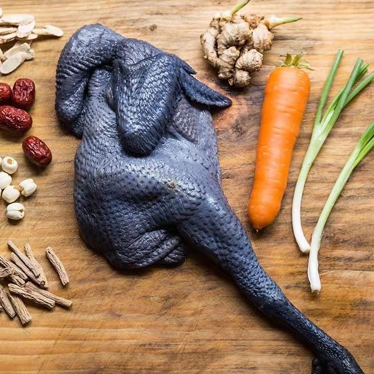 乌鸡新鲜土鸡黑鸡农家散养乌骨活鸡现冷冻老母鸡整只900克