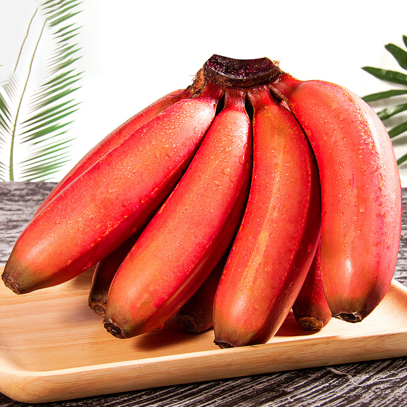 福建漳州红美人蕉新鲜现摘当季水果红皮香蕉5斤非芭蕉小米蕉批发