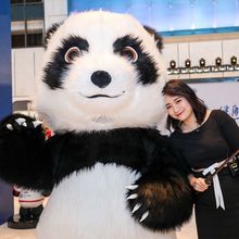 充气大熊猫卡通人偶服装生肖龙人偶吉祥物北极熊活动演出玩偶服装