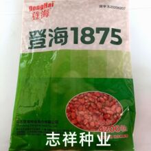 先玉335玉米种子登海先锋第高产一名原装正品安徽陕西河南山东北