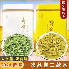 2年新茶雨前白茶绿茶黄金芽明前嫩芽黄金芽罐装浓香型一件代发厂