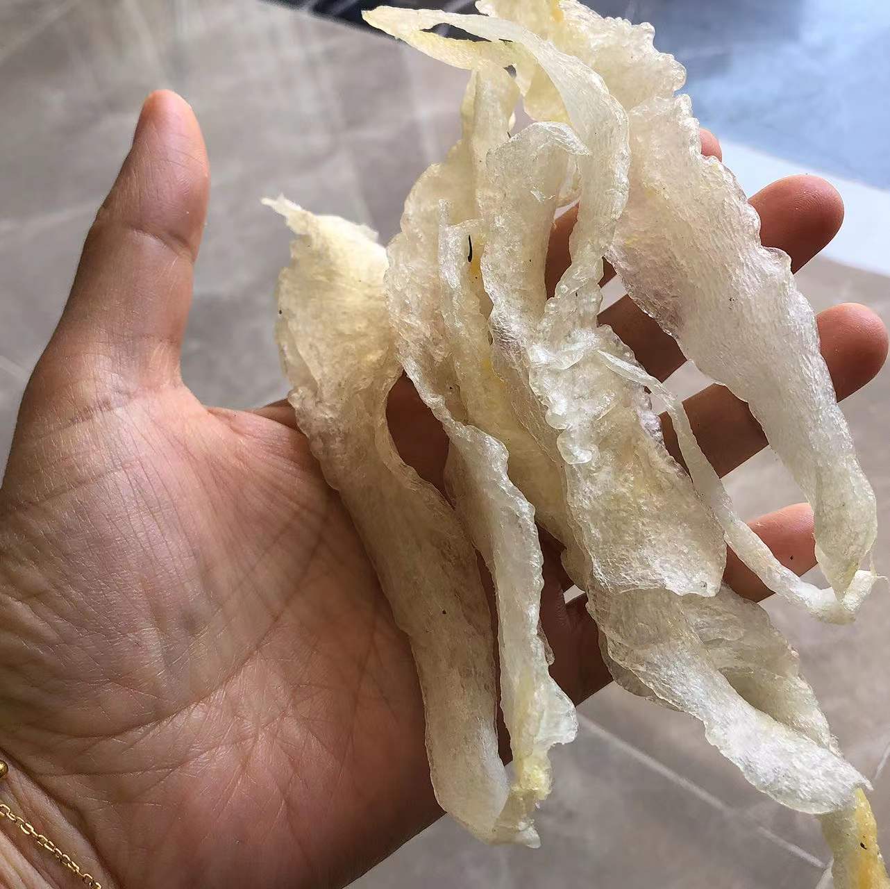 白玉胶花胶鱼胶巴沙胶小龙胶无齿芒鱼肚鱼膘淡水鱼胶即食花胶材料