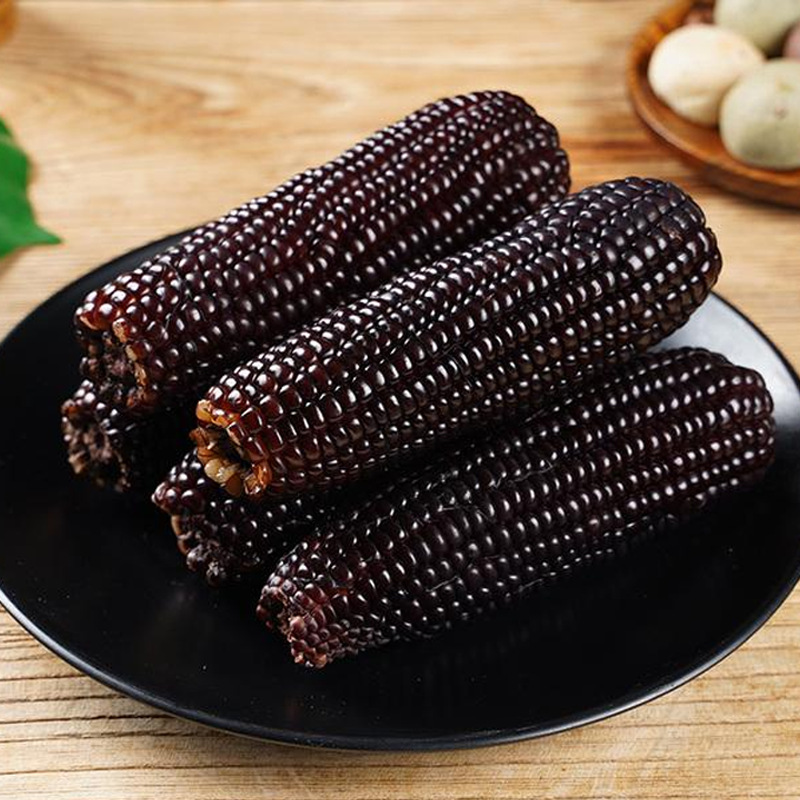 东北黑玉米真空塑封嘴上东北甜糯玉米黑玉米办公室代餐一件代发yq