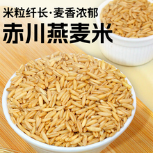 赤川燕麦米5斤当季新米燕麦仁内蒙农家新货胚芽燕麦粒杂粮粗粮