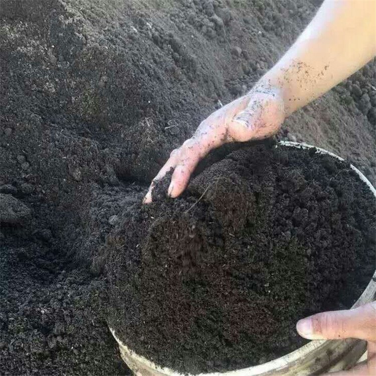 【厂家批发】发酵鸡粪有机肥腐熟农家肥 生物有机肥 瓜果蔬菜用肥