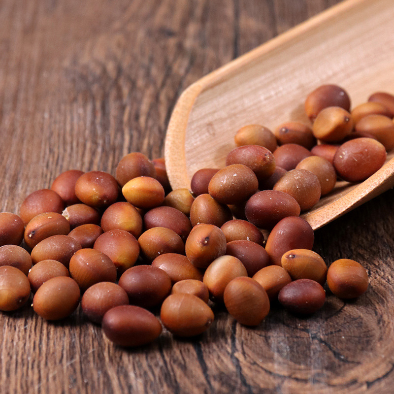 皂角子500g克 中药材皂角籽皂荚籽正品皂籽新货皂角子 皂角核