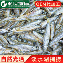 批发淡水小鱼干猫零食散装饲料洁齿磨牙补钙仓鼠粮包邮1kg