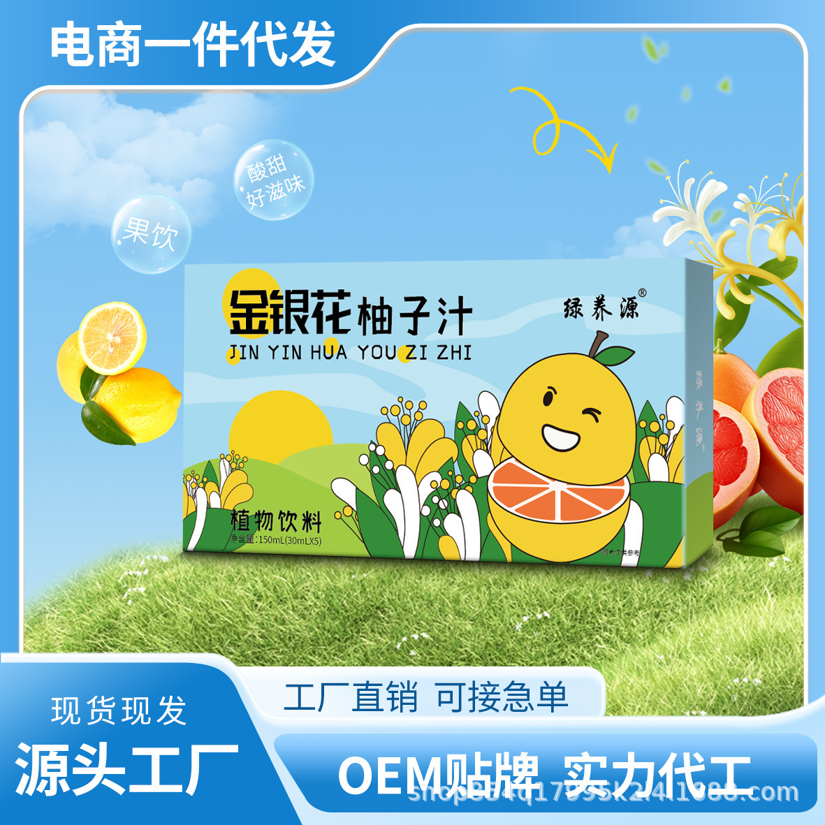 金银花柚子汁儿童果汁植物饮料饮品柚子汁网红爆品一件代发-阿里巴巴