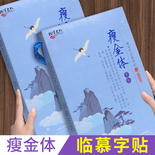 瘦金体临慕字贴练字神器成年男钢笔硬笔书法练字本初学者礼盒套装