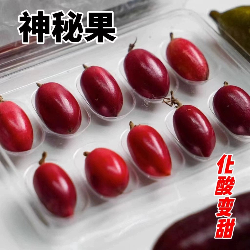 同款货源 HOT 神秘果12粒果干水果神奇果变味果应当季酸变甜稀罕