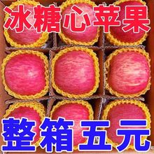 【进店送】陕西红富士苹果新鲜应季孕妇水果丑苹果脆甜萍果批发批