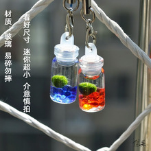 海藻球瓶小球摆件幸福海藻植物瓶marimo球藻随身玻璃球懒人