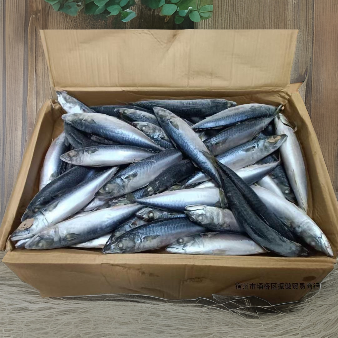 新品鲜冻青条鱼冷冻整箱青花鲐鲅鱼新鲜鱼商用青占鱼水产20斤特产
