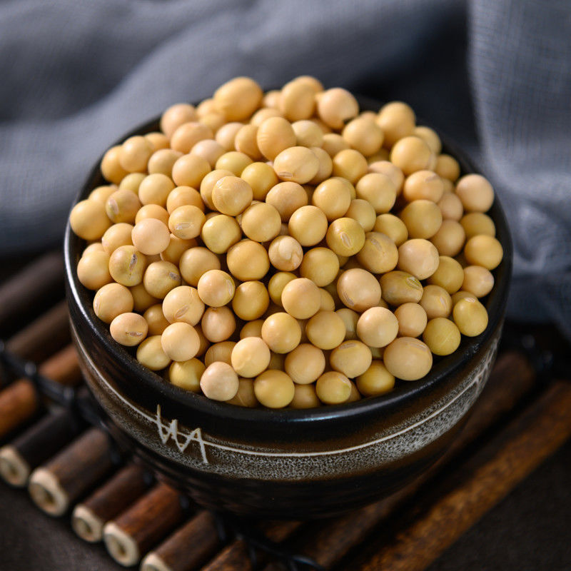 东北非转基因新黄豆5斤 农家自种黑龙江大豆生豆芽打豆浆500g/袋