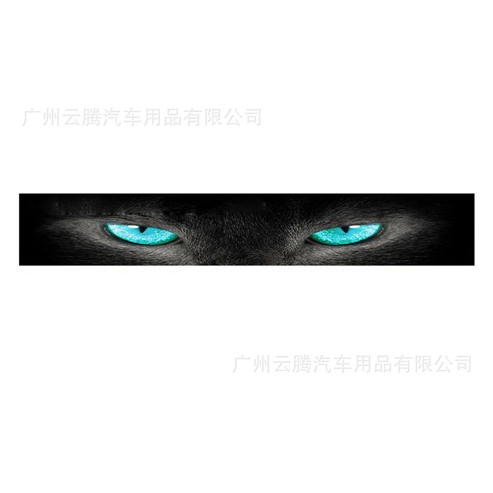 y-310汽车前挡风玻璃贴纸 后挡车贴装饰遮阳3d立体个性猫眼车贴纸