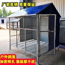 黄鼠狼户外棚家养加密加粗防鸽舍折叠鸽子笼铁丝网装鸽特大型老鼠