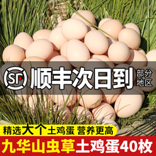 鸡蛋新鲜农家散养土鸡蛋40枚无抗谷物草鸡蛋整箱批发笨柴鸡蛋