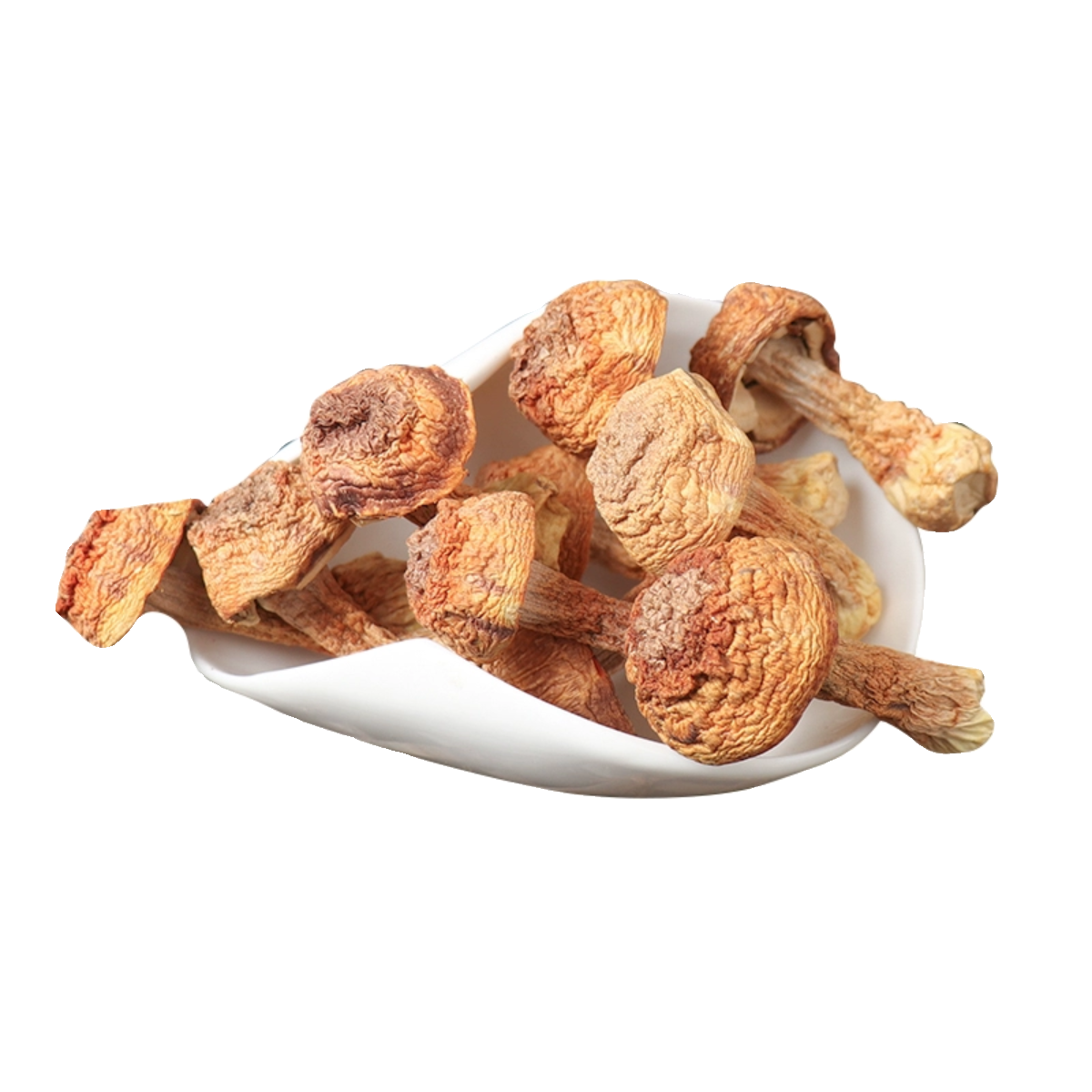 云南姬松茸干货煲汤食材羊肚菌虫草花姬松茸巴西蘑菇菌菇新货炖鸡