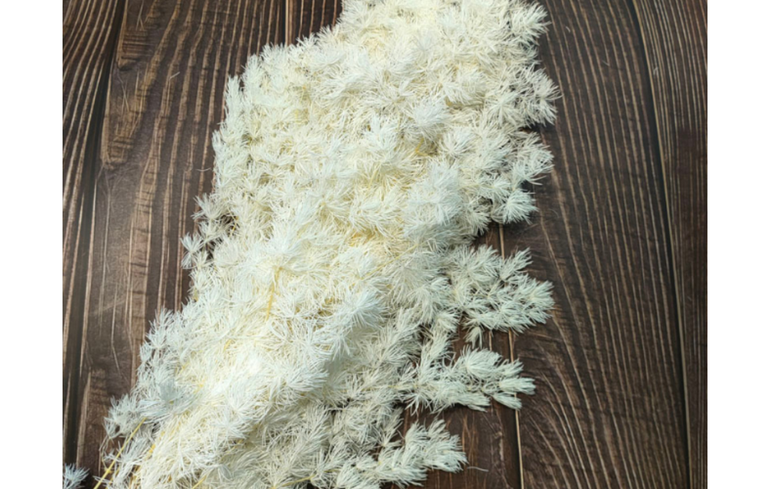 永生花蓬莱松 云南厂家批发蓬莱松大束100克 ins风家居装饰