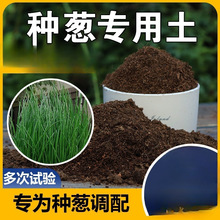 种葱专用土阳台种菜通用型蔬菜种菜种植土营养土盆栽香葱土壤家