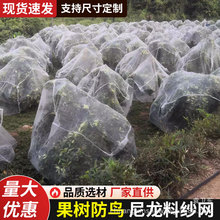 白色果园蔬菜大棚保护果实高密度塑料防鸟网 整张大网可多片防护