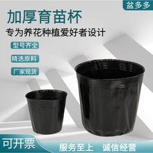 黑色育苗盆加厚防老化营养钵一次性育苗杯黑色塑料花盆加厚育苗杯