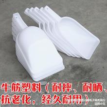 加厚钢化塑料锹铲子粮养殖饲料大全铁锹锨大号除雪铲农用工具塑胶