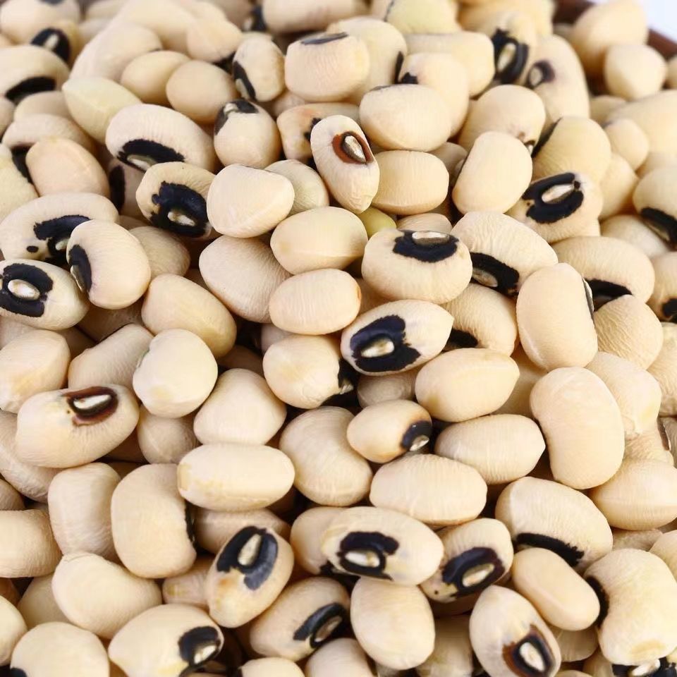 白眉豆云南农家自种白豇豆 新鲜饭豆白豆米豆子眉豆-阿里巴巴