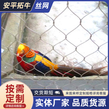 桥梁建筑防坠网 不锈钢绳网 园林动物围栏卡扣网绳防落物绳网
