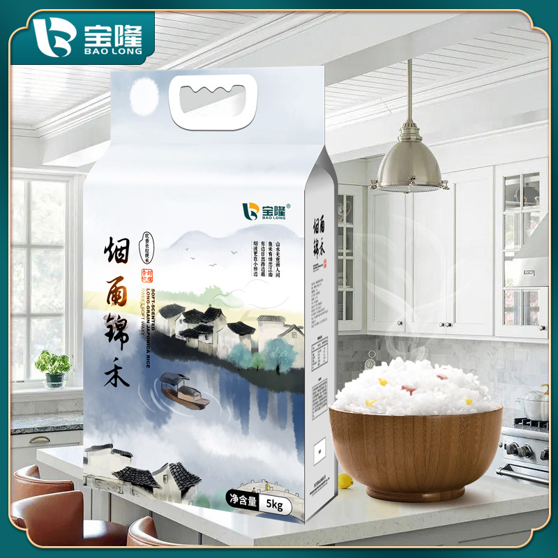 宝隆2020新米烟雨锦禾秀水香一号南方米5kg真空六面体10斤装