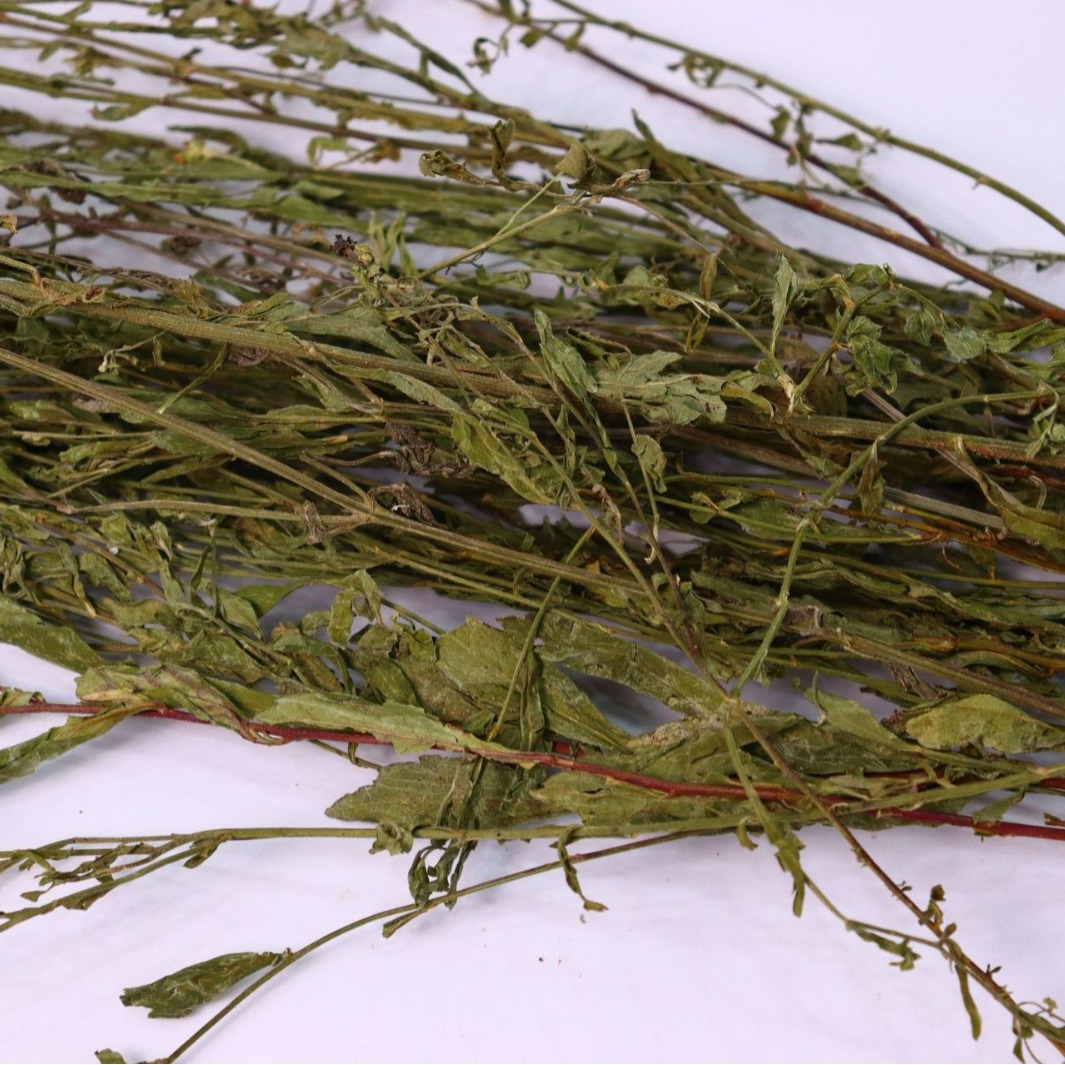 中药材批发 马兰草新货优质马兰草 正品无硫马兰草500g-阿里巴巴