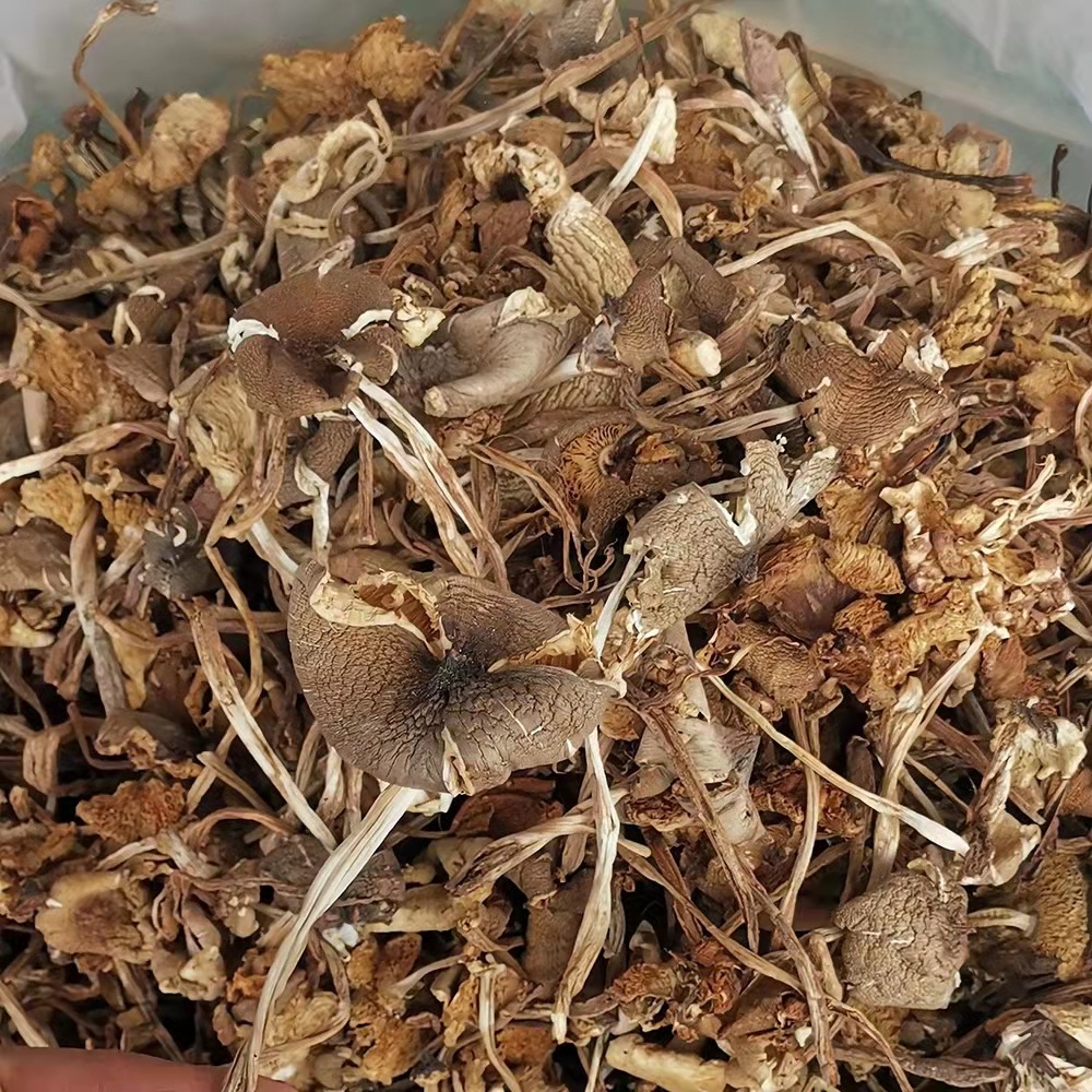 新货云南食用菌鸡枞干货散装礼盒鸡纵菌中菇土特产地直供量大从优