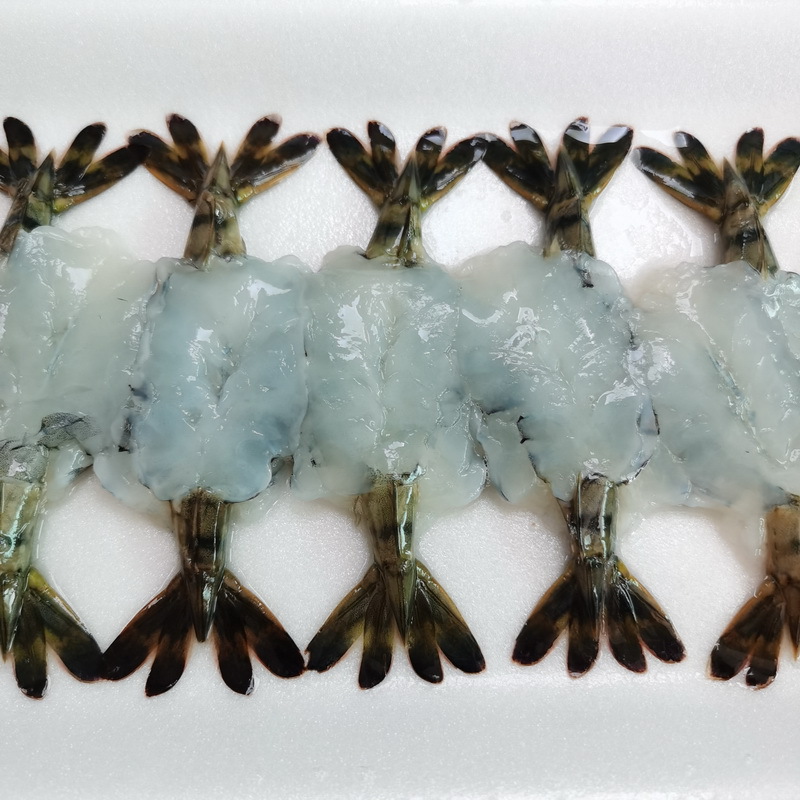 刺身虎虾8g国产黑虎虾去头去壳日式寿司料理食材海鲜水产厂家批发