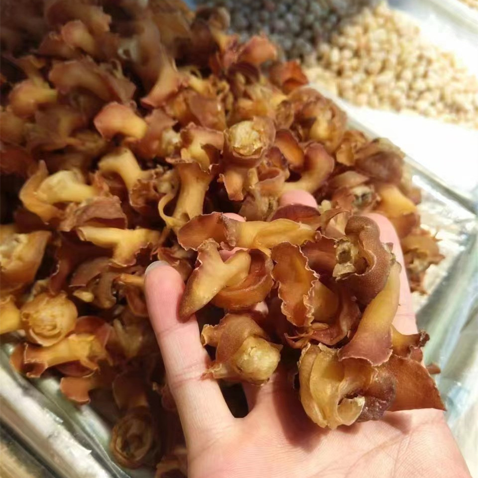 一手源头大货批发足干响螺头爆炒煲汤料秋冬滋补海味干货-阿里巴巴