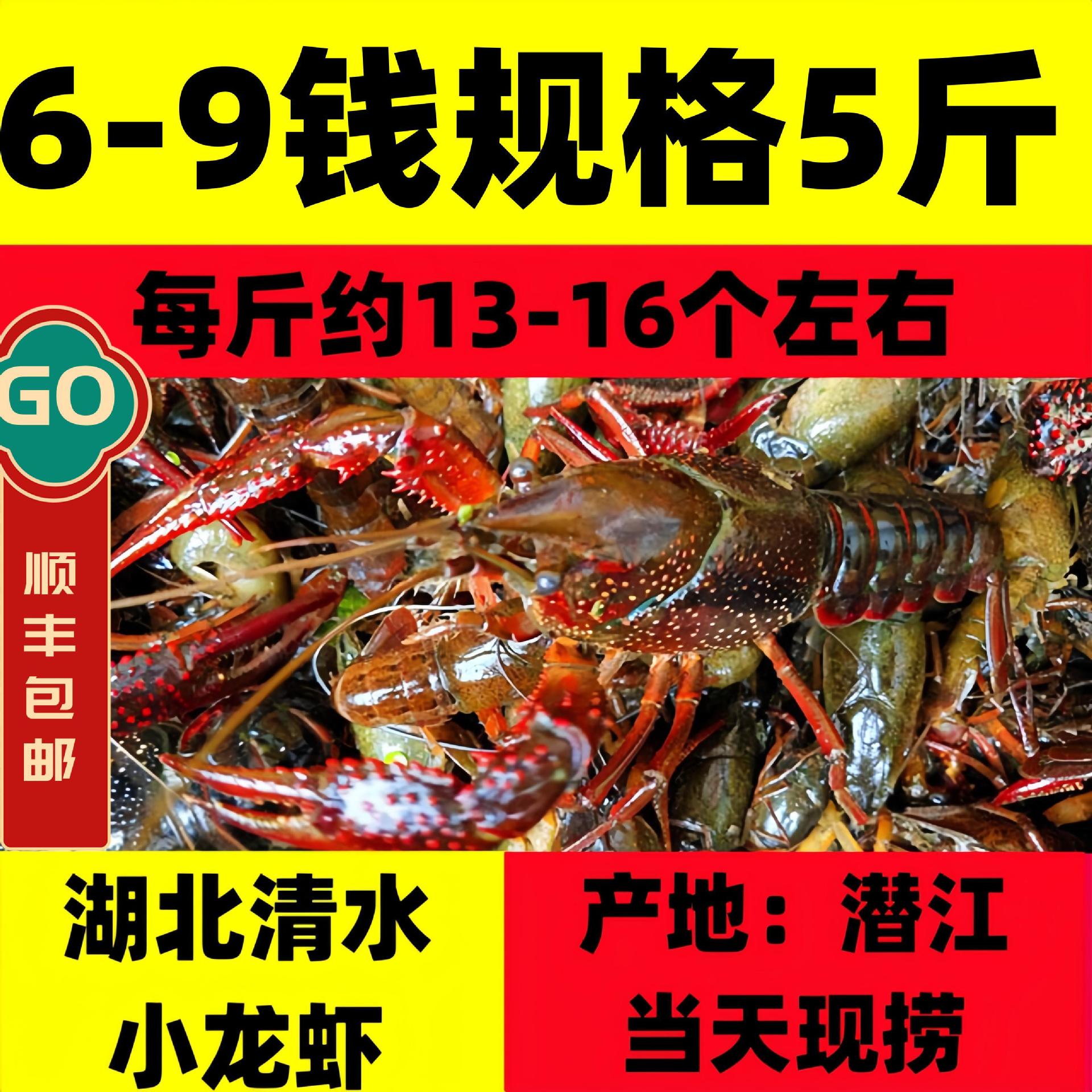5斤6-9钱湖北小龙虾鲜活青壳红壳特大龙虾水产淡水清水虾现捞活虾