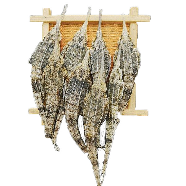 40只包邮 海麻雀干海燕子海产品煲汤料包泡酒