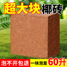 9斤大块椰砖营养土养花通用型椰子壳土壤耶砖种菜盆栽脱盐椰糠砖