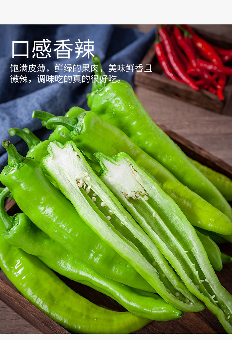 5斤顺丰起发 虎皮青椒新鲜现摘青辣椒青尖椒杭椒青辣椒蔬菜整箱