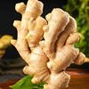 ginger Happen wholesale Ginger ginger wholesale fresh Shandong Ginger wholesale Manufactor Direct selling Cross border