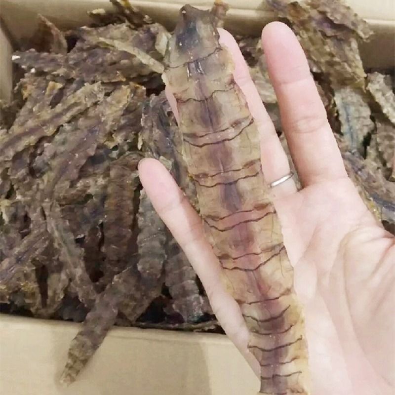 渔民自晒野生大琵琶虾干生晒皮皮虾 去壳虾姑干爬爬虾干濑尿虾干