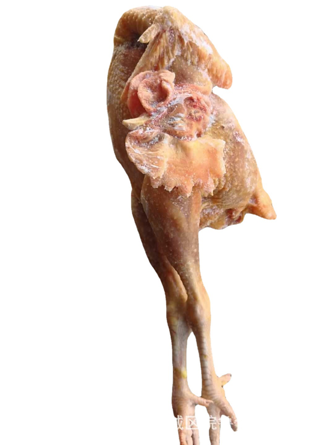 冷冻大冠公鸡 速冻公鸡 大鸡冠 生长周期90天左右-阿里巴巴