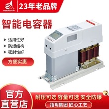ZMZ-DSX/480-J智能集成低压抗谐波电力电容器(经济型) 共补分补