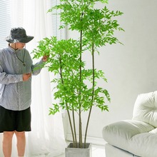 23潮流仿真植物 蓝天竹落地盆栽 仿生绿植沙发旁家居装饰盆景假树