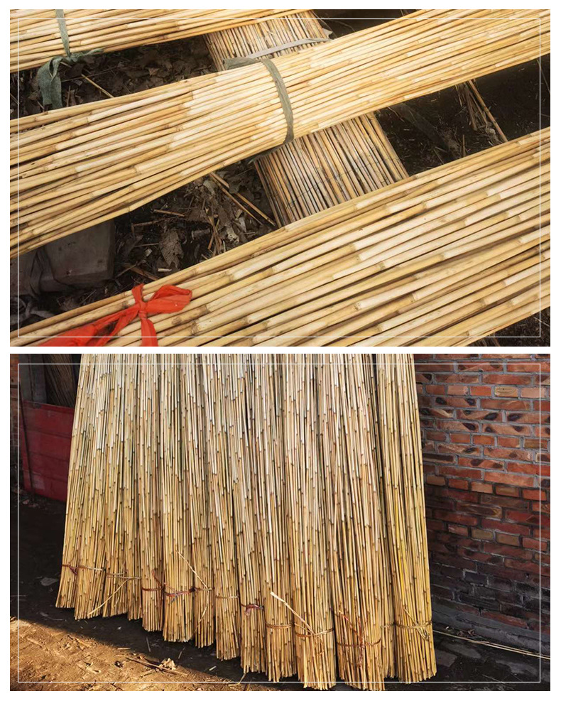 现货装修用芦苇杆编织工艺品芦苇杆直径1公分 长度2.5米