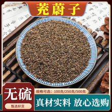 养龙虾水草种子虾草鱼虾饲料吃不败轮叶黑藻苦草狐尾草伊乐藻草籽