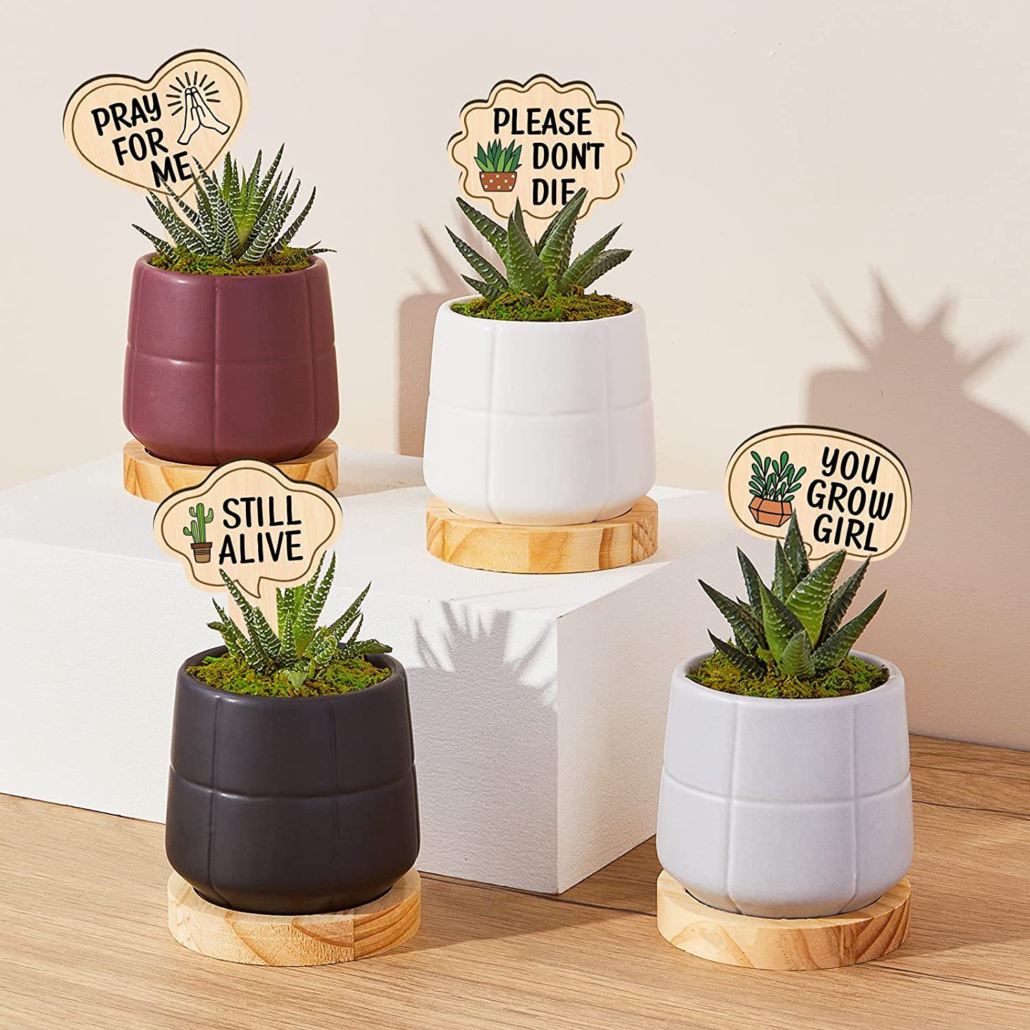 Wooden Plant Marker Outdoor Indoor Succulent Plant Flower Plant Label Waterproof Suitable for Potted Plants