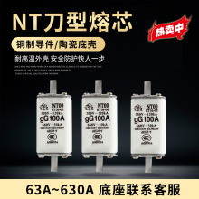 [厂家批发]刀熔熔芯RT16-00/NT00/NT1/NT2保险丝 63A100A160A250A