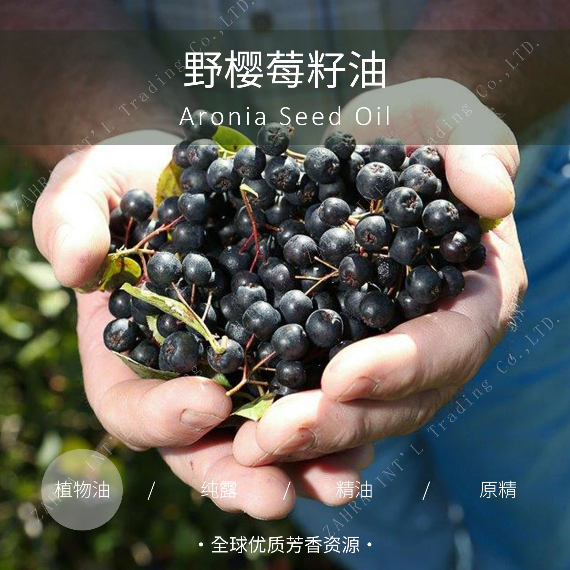 波兰进口野樱莓籽油不老莓籽油冷压初榨基础油批发