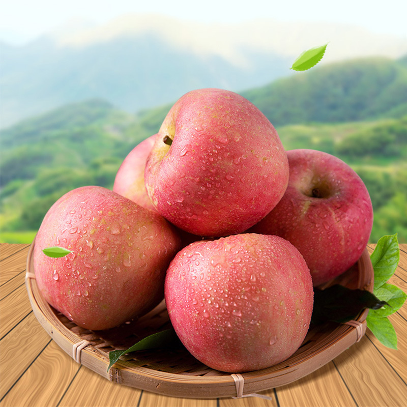 山西红富士苹果新鲜当季水果丑苹果整箱10斤/5斤现季一件代发包邮