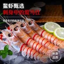 Ⅰ【刺身虾-1】新鲜鳌虾海鲜刺身虾新西兰斯干比甜虾批发深海鱿鱼